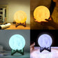 The 16 Colors Earth Lamp