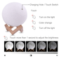 The Royal Moon Lamp - Royal Moon Lamp